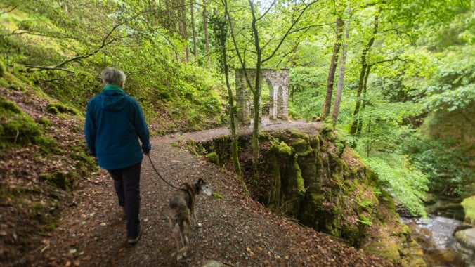 Visitor walking by the Gothic Arcade, Hafod Estate Ceredigion